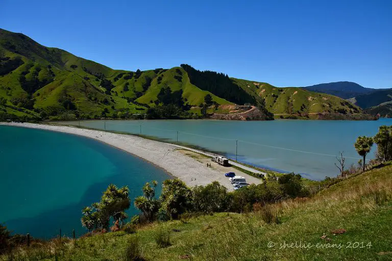 Nelson Buy Sell Swap Buy and Sell Nelson Tasman NZ