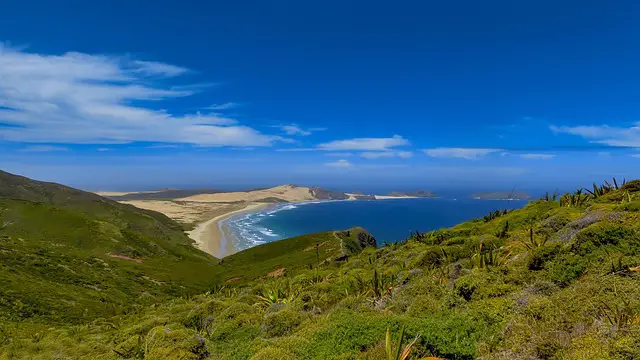 Golden Bay New Zealand